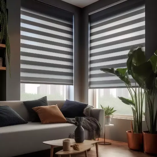 Duplex Blinds Dubai