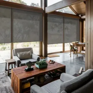 Sunscreen Blinds